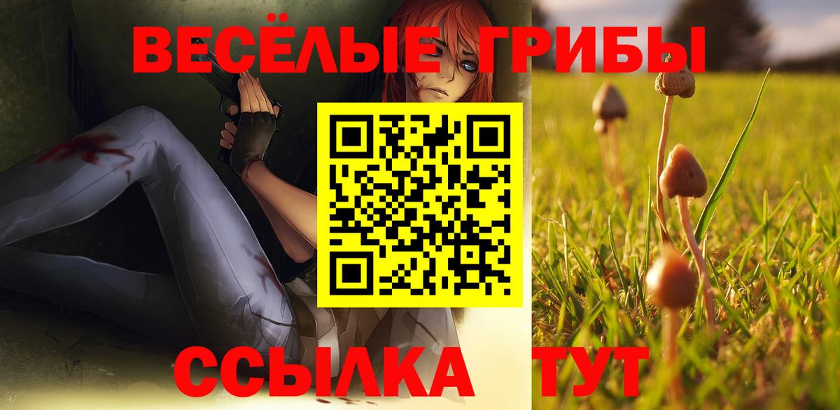 Галлюциногенные грибы ЛСД Чайковский