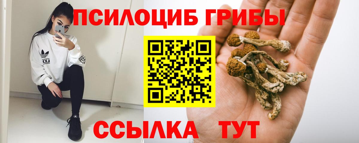 Псилоцибиновые грибы прущие грибы  Псилоцибиновые грибы MAGIC MUSHROOMS  Чайковский  Вход с VPN 
