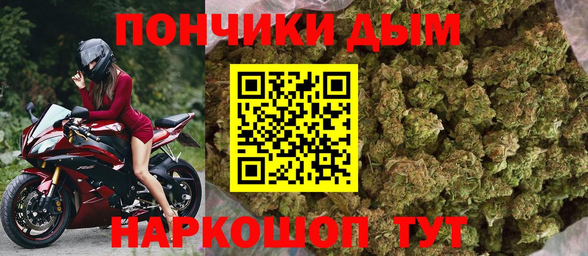 Канабис ГИДРОПОН  Бошки марихуана план  Вход с VPN  Шишки марихуана LSD WEED  Чайковский 